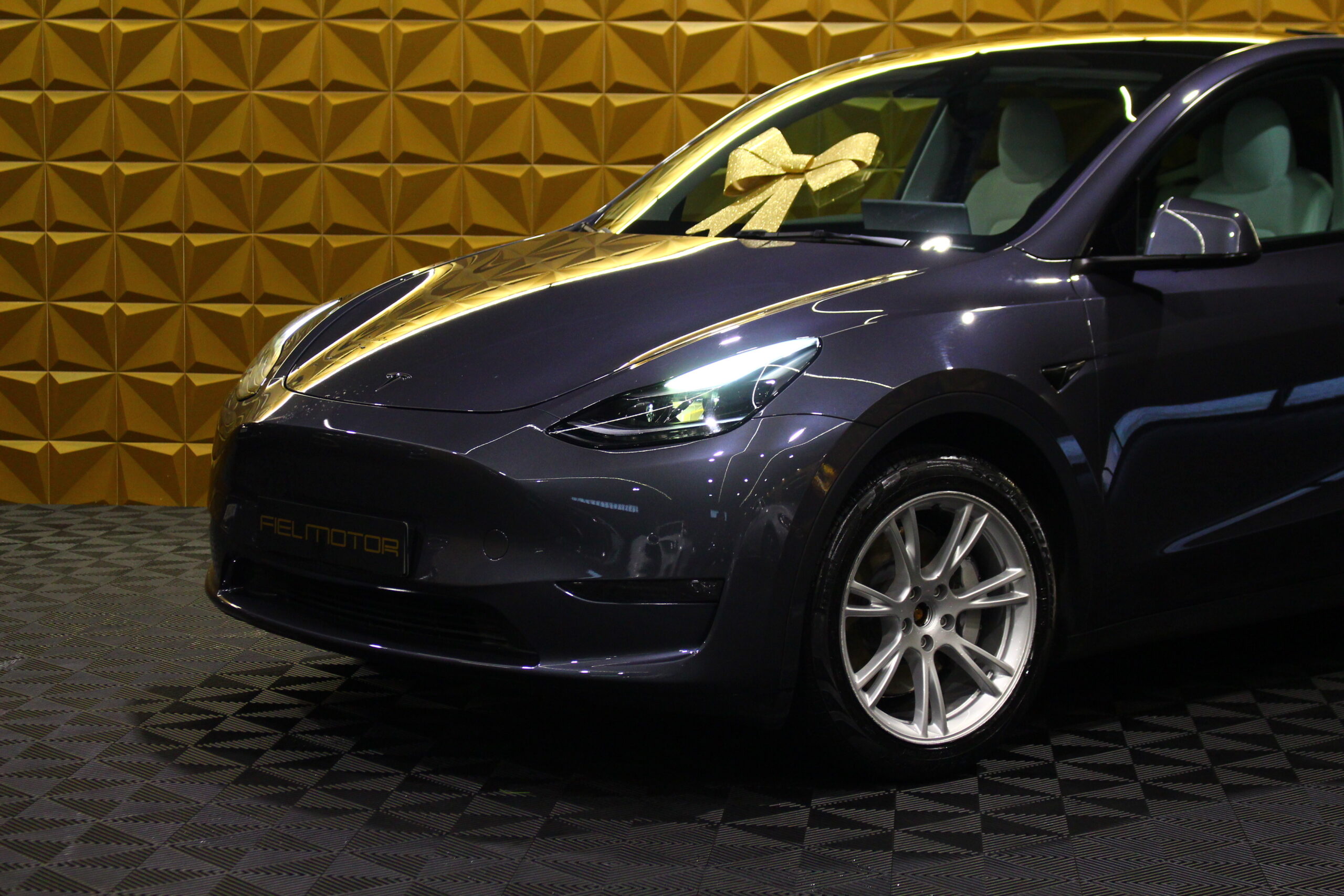 Tesla Model Y Long Range Tração Integral