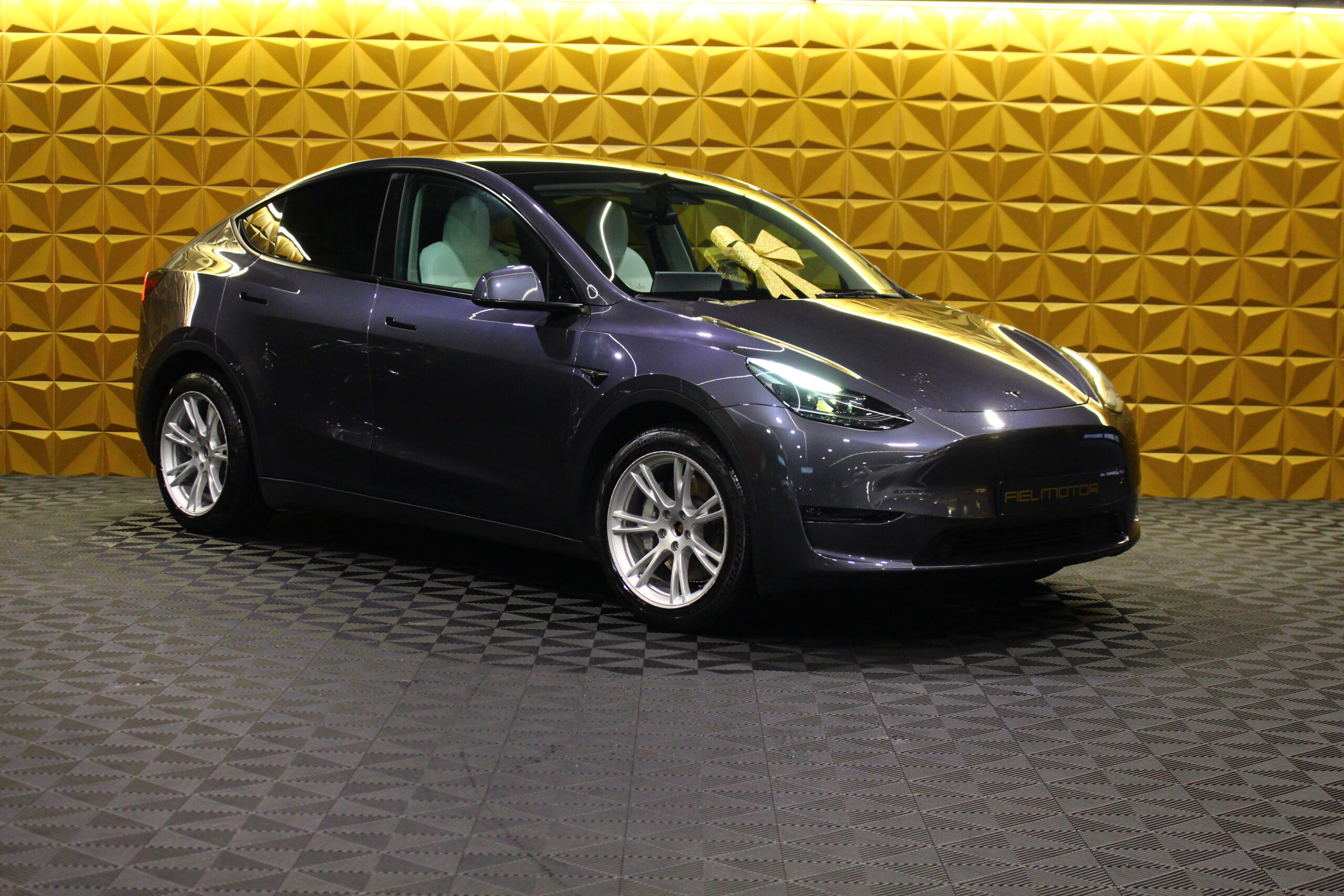Tesla Model Y Long Range Tração Integral