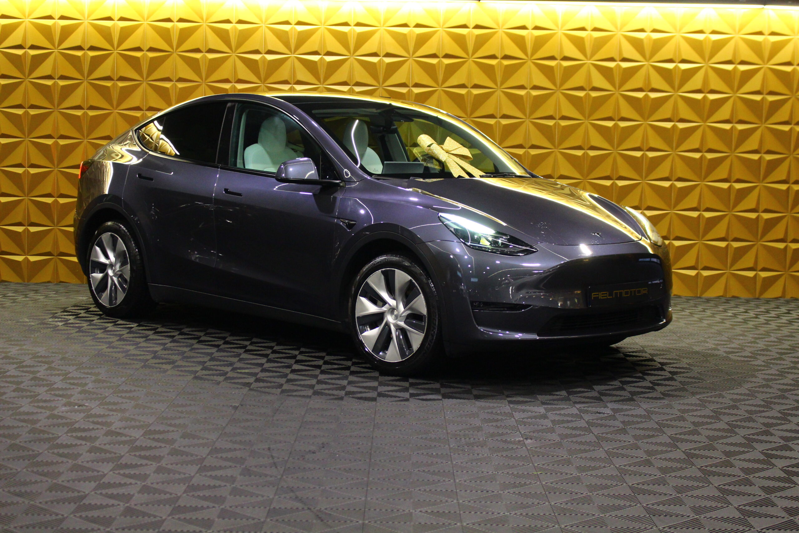 Tesla Model Y Long Range Tração Integral
