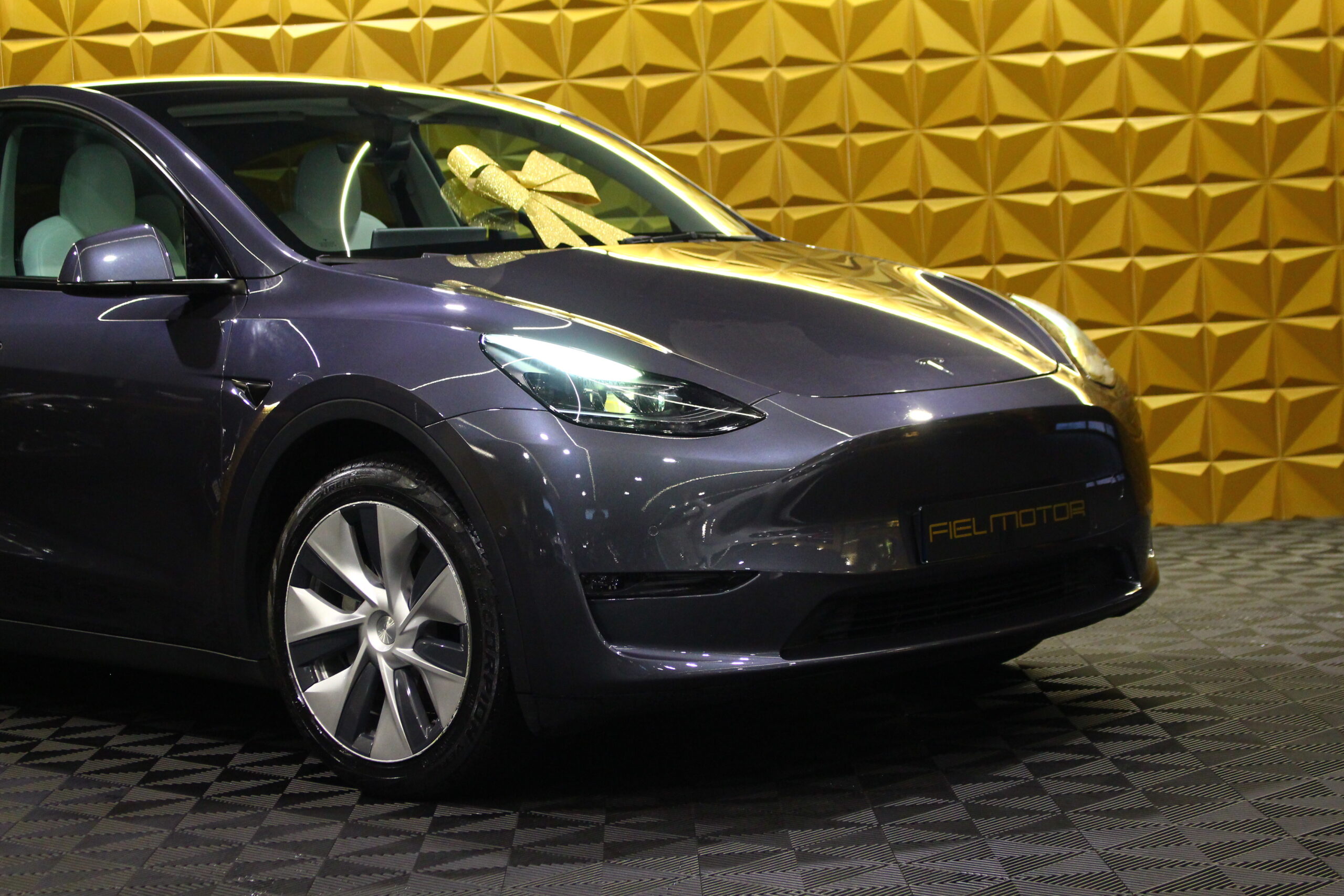 Tesla Model Y Long Range Tração Integral