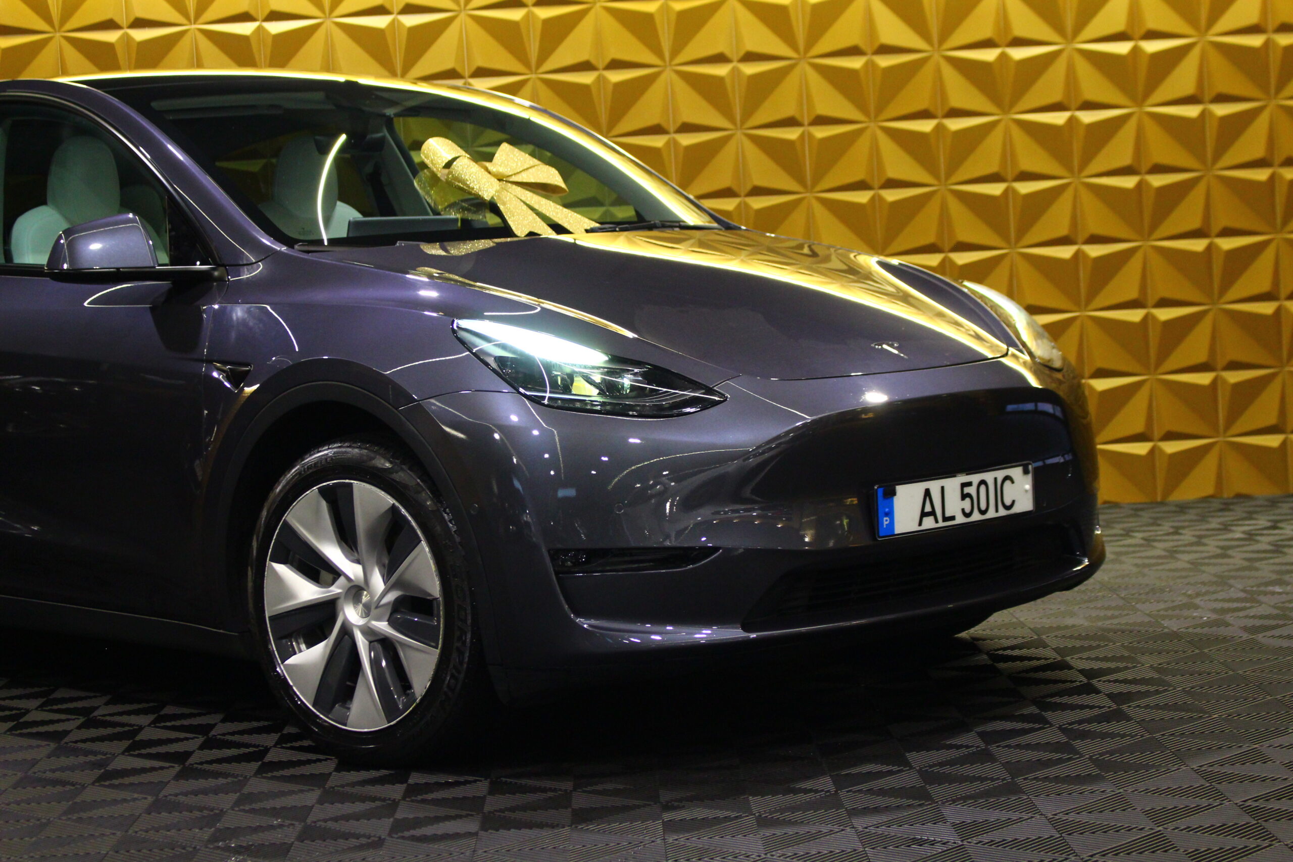 Tesla Model Y Long Range Tração Integral