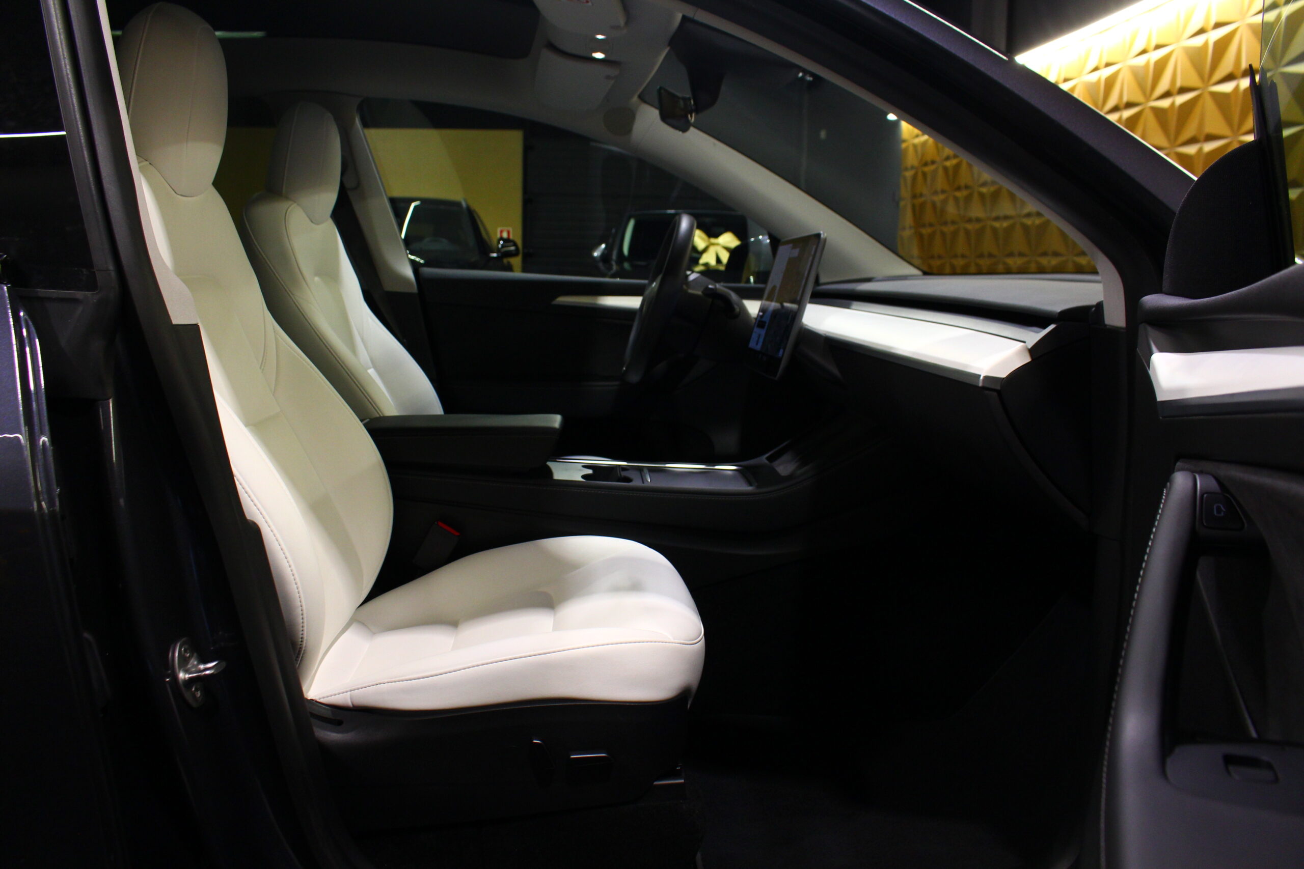 Tesla Model Y Long Range Tração Integral