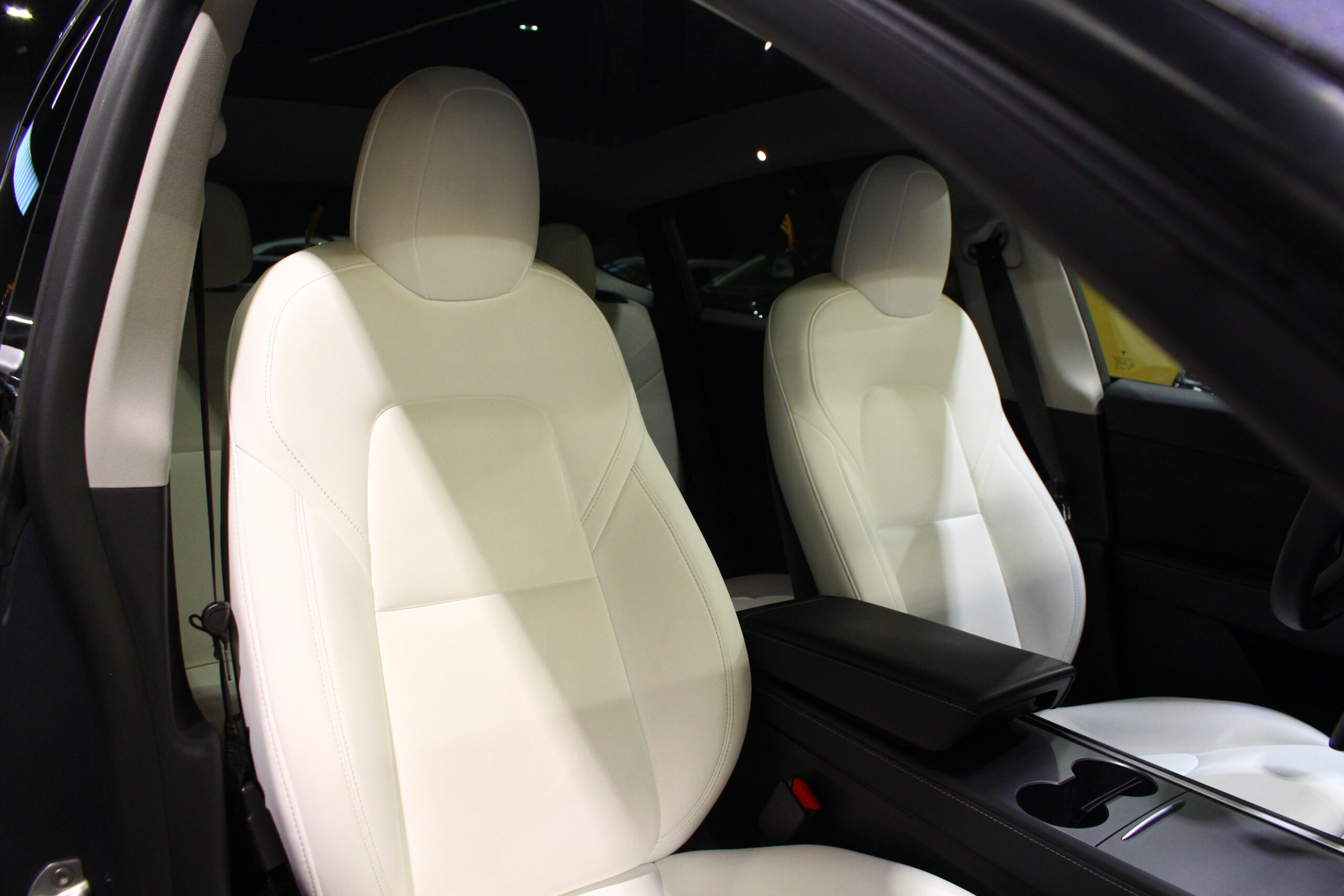 Tesla Model Y Long Range Tração Integral