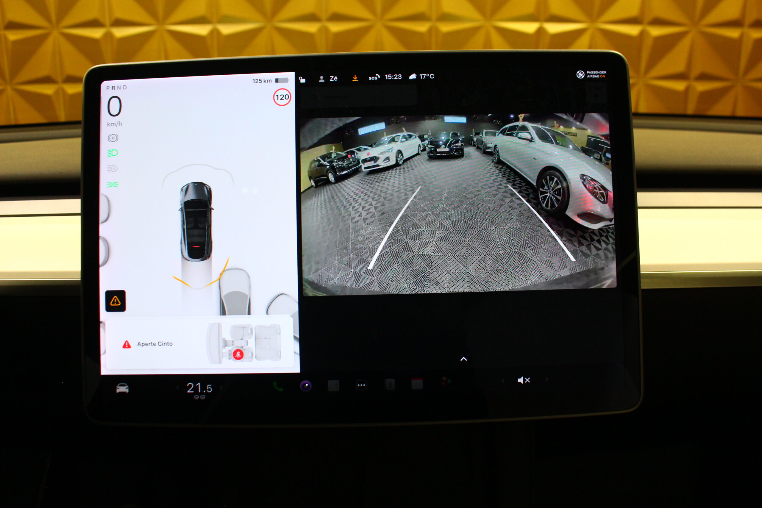 Tesla Model Y Long Range Tração Integral