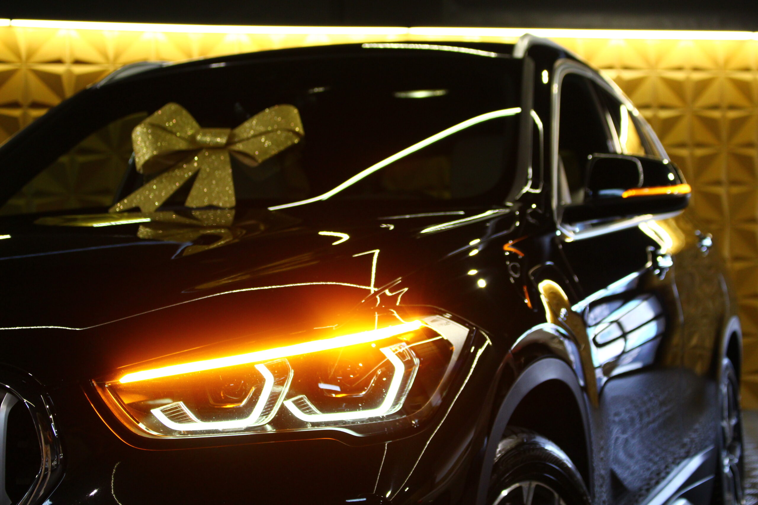 BMW X1 25 e xDrive Line Sport