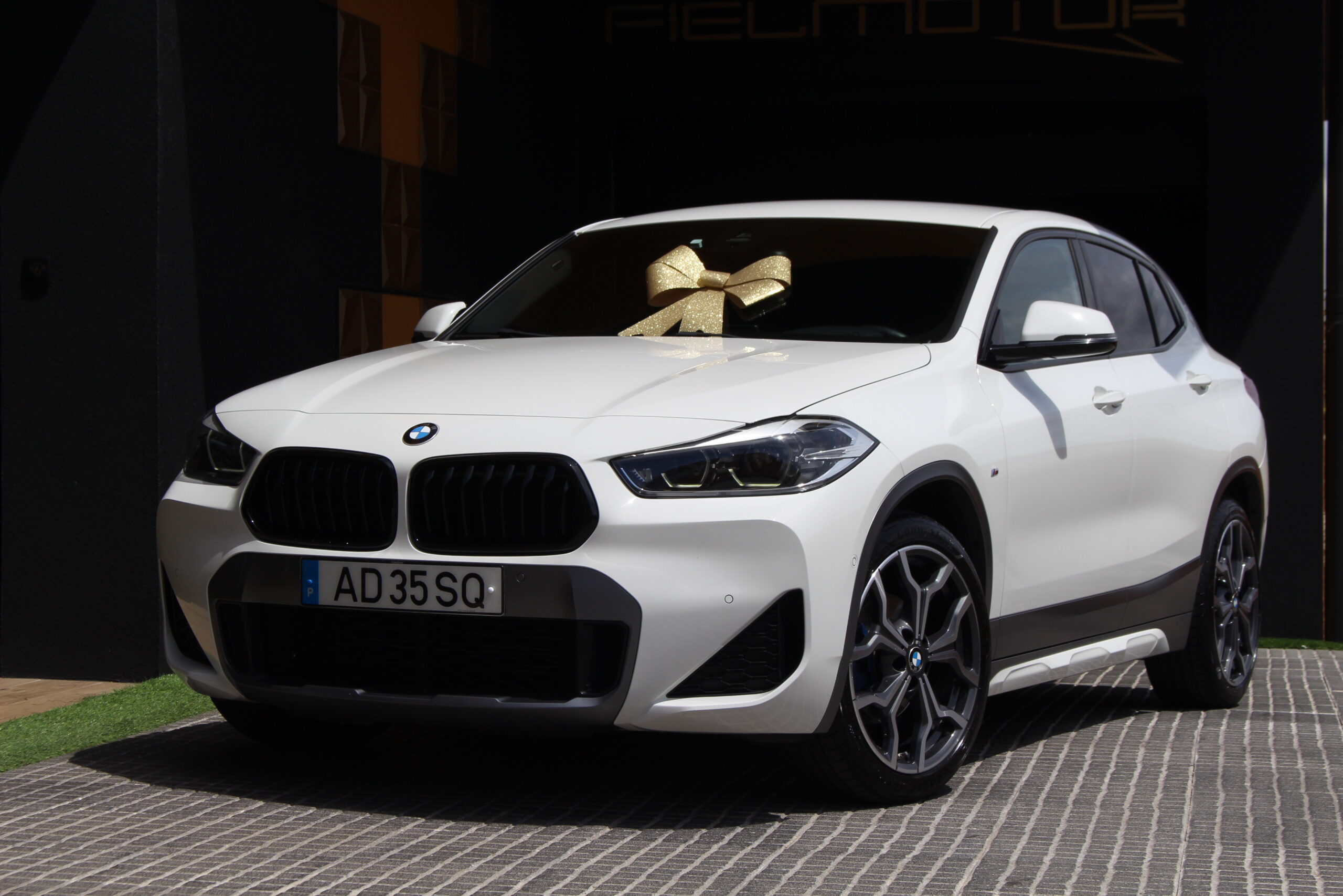 BMW X2 sDrive Auto PAck-M