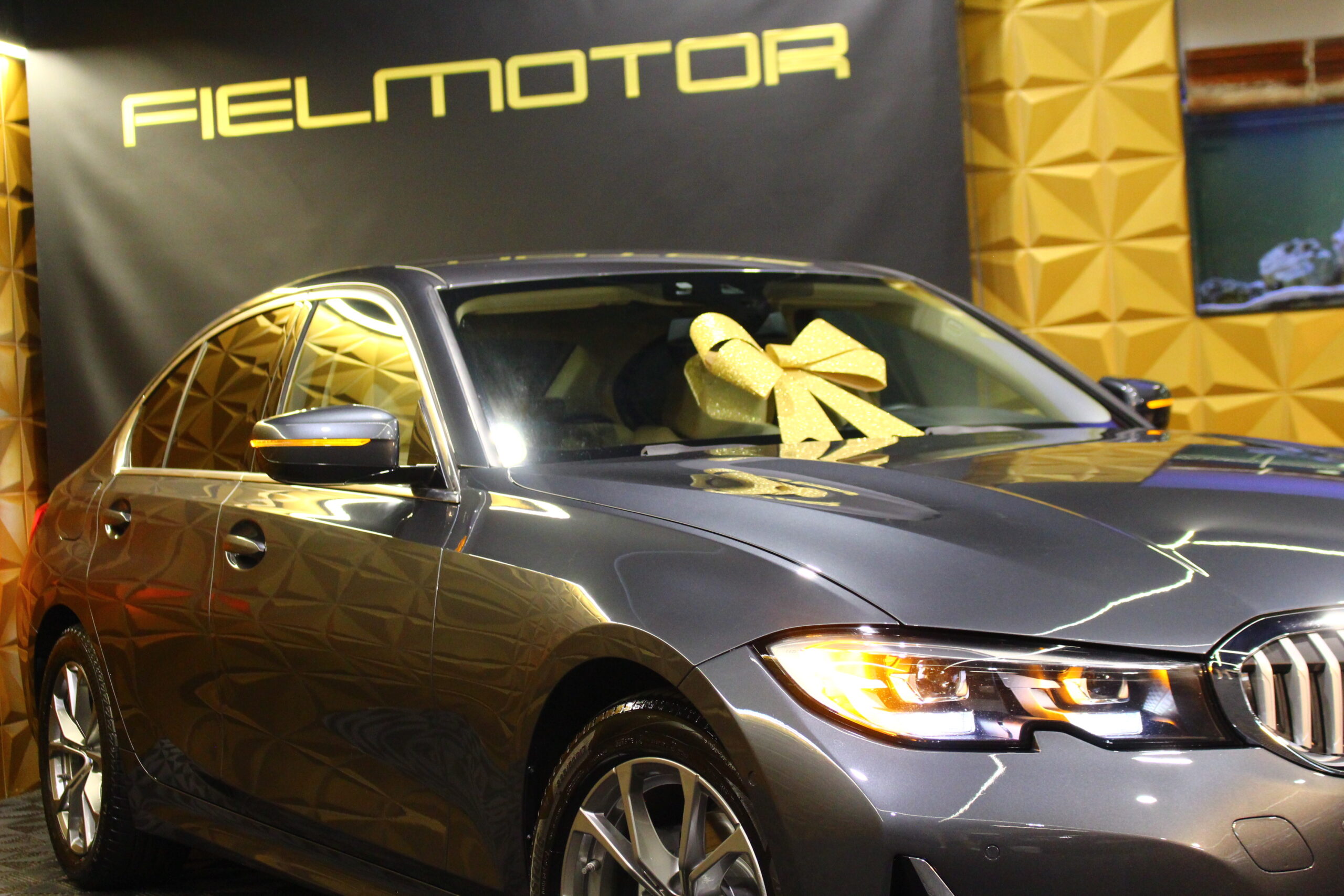 BMW 318d Line Luxury Auto