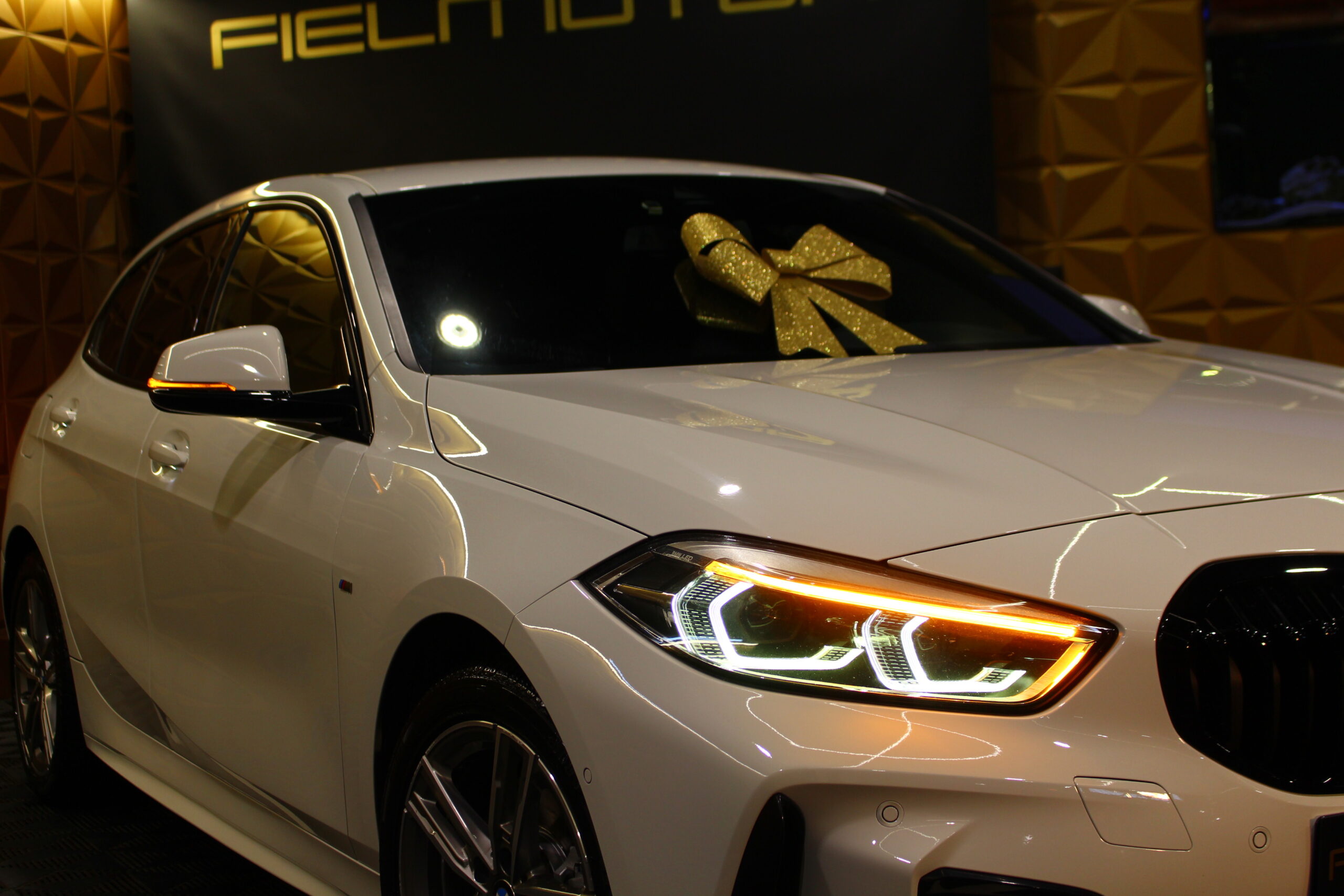 BMW 116d Pack-M Auto
